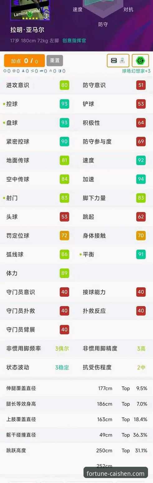 世界杯赛场新星崛起，亚马尔的创纪录表现实用指南