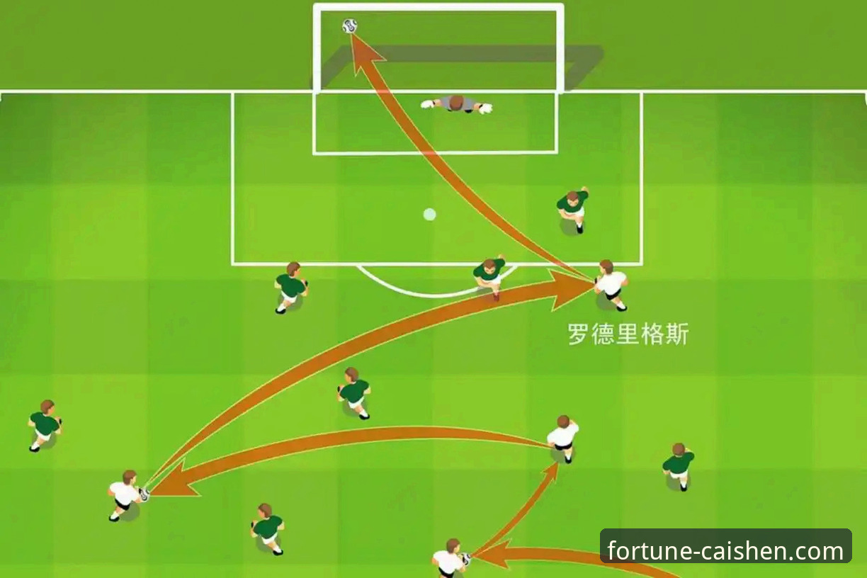帕尼切利重伤无缘世界杯：对阿根廷战术体系的深度解析与实战影响